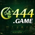 C444 GAME