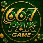 667PAK GAME
